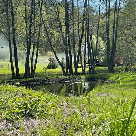 Tiny Silent House Appartamento Osowek