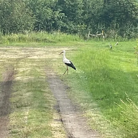 Appartamento Tiny Silent House