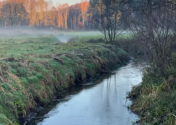 Tiny Silent House Osowek