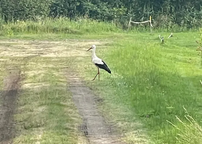Appartement Tiny Silent House